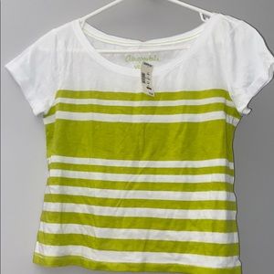 Super Cute Cropped Tshirt